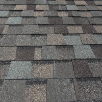 Which Type of Shingle is Right for Your Roof?