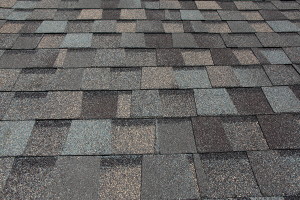 A newly installed composition asphalt shingle roof